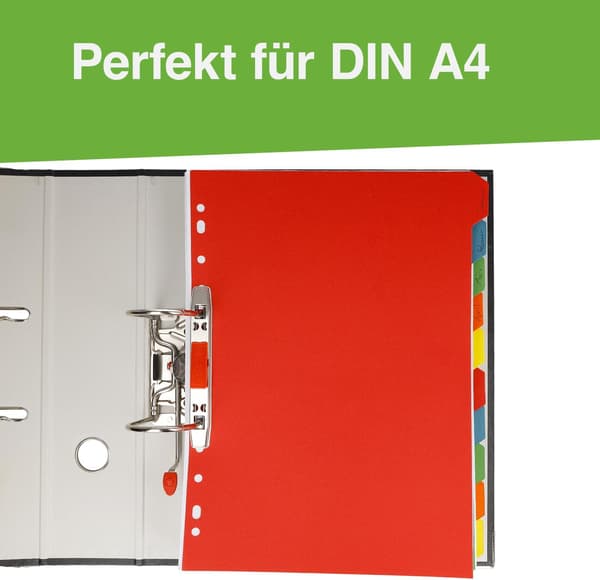 Westcott A4 Mappeindeks, 10 farvede faner (5 farver), 160g/m², Euro-perforeringer, E-1733312 00