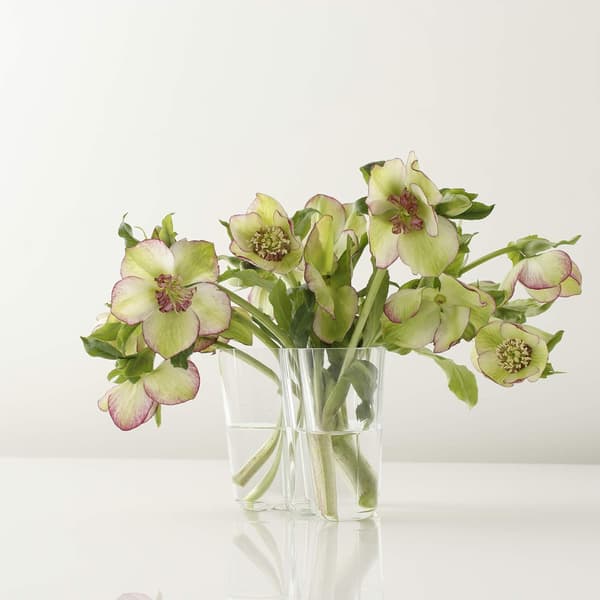 Transparent Vase, 160mm, standard størrelse