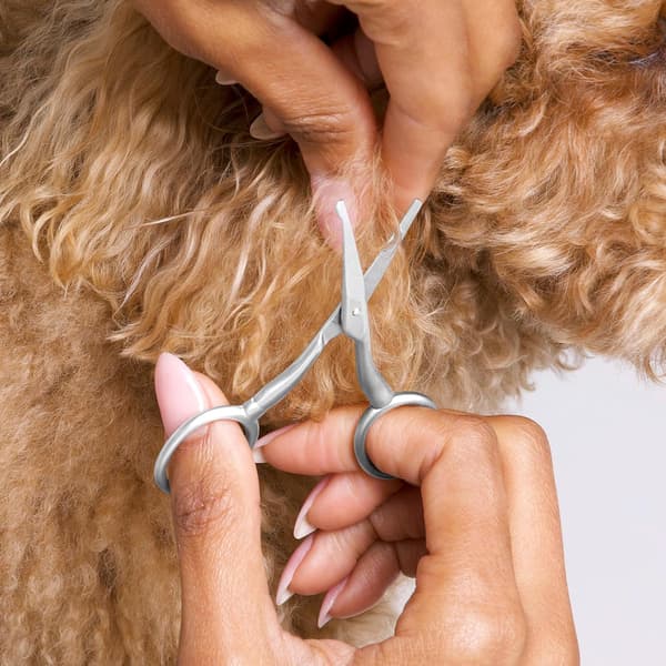 Rundhovedet kæledyrssaks i rustfrit stål - til hunde og katte