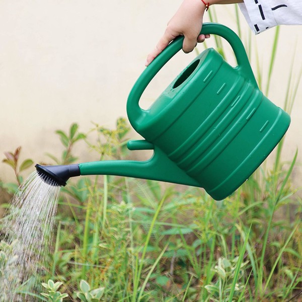 Vandkande med grøn 10 liter 2 gallons haveblomst vandflaske vandkeddel med håndtag L green