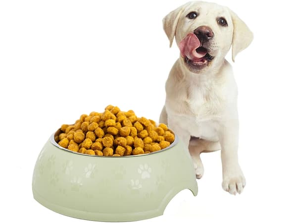 Hundeskål / Vandskål til Hund - 1,2L