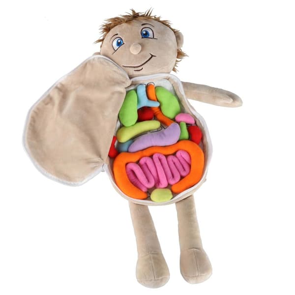 Anatomical Doll with Organs 48 cm Educational STEM Toy 3+