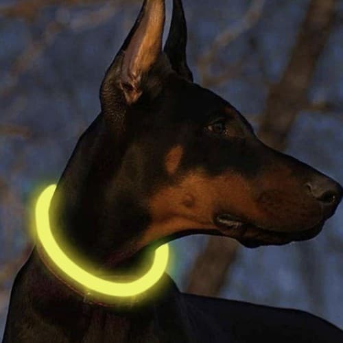 LED Hund / Katt Halsbånd - Oppladbart
