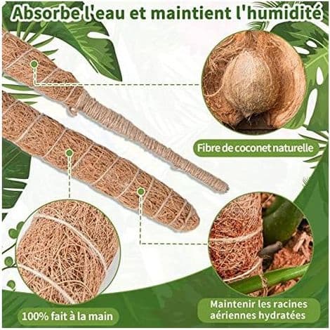 Monstera växtstöd, 60 cm x 2 mossstångssats för klätterväxter, inomhus kokosfiber -