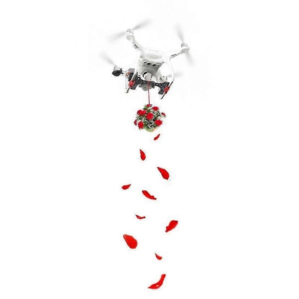 Til Phantom 4 Dobbelt Udløser Kaster Drone Shinkichon Pelter Fiskemadding Luftudkast Til Phantom 4/4p/4a/v2.0