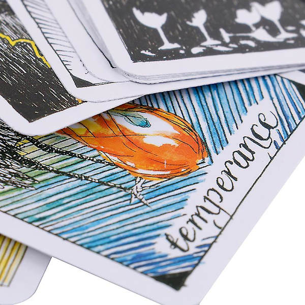 78 stk The Wild Unknown Tarot Deck Rider-waite Oracle Set Spåkort