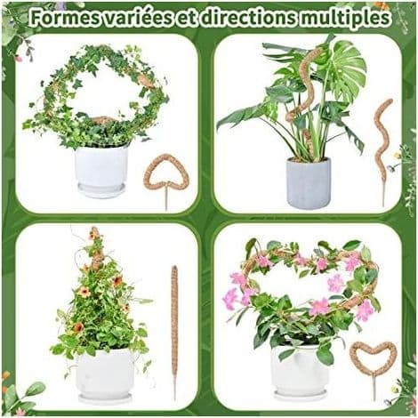 Monstera växtstöd, 60 cm x 2 mossstångssats för klätterväxter, inomhus kokosfiber -