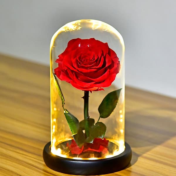 1 stk. Kuppel Preservert Blomst