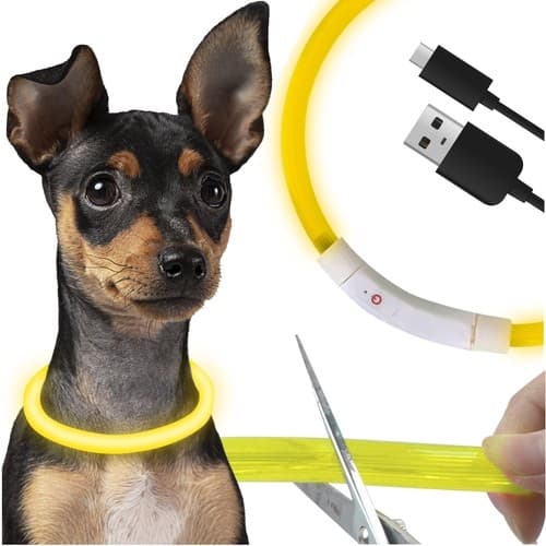 LED Dog / Cat Collar - Rechargeable