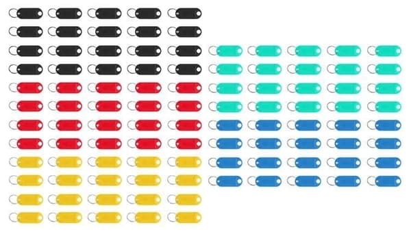 Key Identifier with Label Window 100-pack Color Mix 6.5x2.1 cm