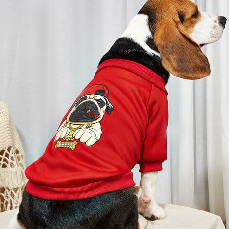 Fashionabla husdjurströja höst vinter hundkläder husdjurströja（S）