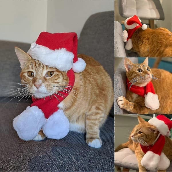 Julehatt med skjerf til katt - Julekostyme sett for valp hund katt julehatt