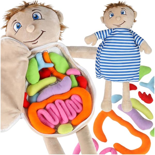 Anatomical Doll with Organs 48 cm Educational STEM Toy 3+