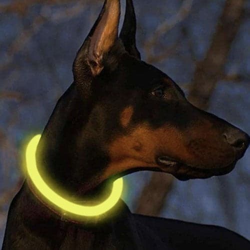 LED collar dog/cat USB-C rechargeable adjustable 20-70 cm yellow