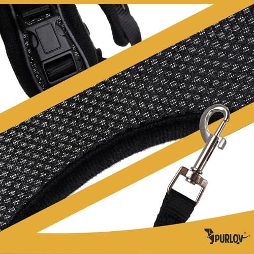 Pressure-free harness dog/cat M with reflector, adjustable + leash 150 cm