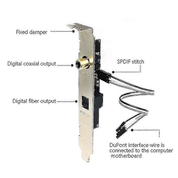 24bit 192khz Datterkort Spdif Optisk Og Rca Udgangsplade Kabelbeslag Digital Lydoutput Til