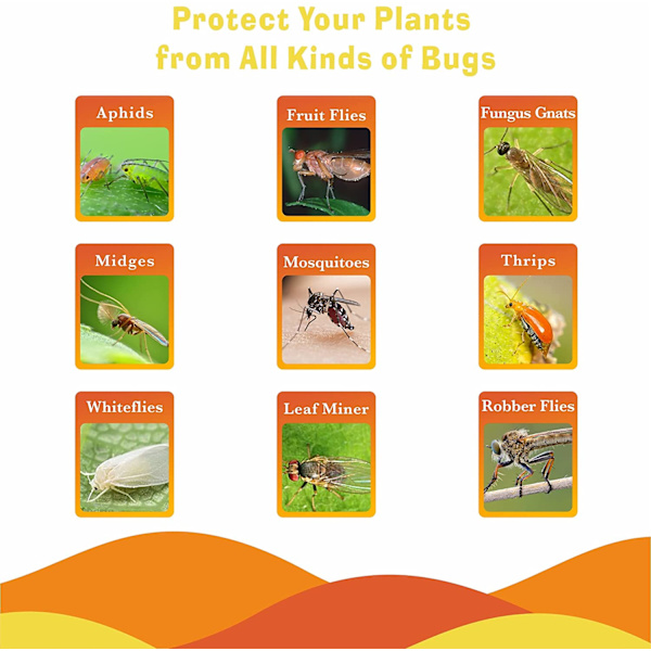 Flygfångare / Klibbig Insektsfälla, 20-pack