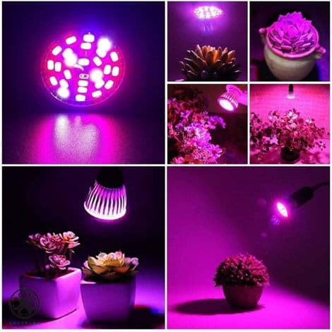LED vækstlys, 30W fuldspektret E27 LED-pære til indendørs planter og drivhuse