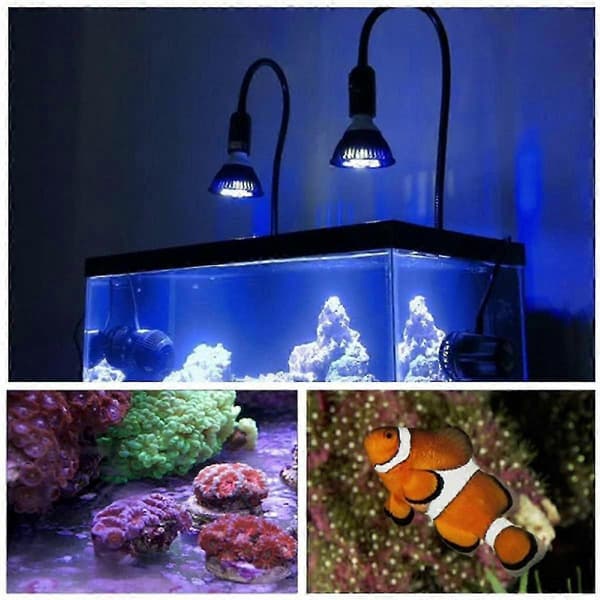 LED Växtlampa 36W