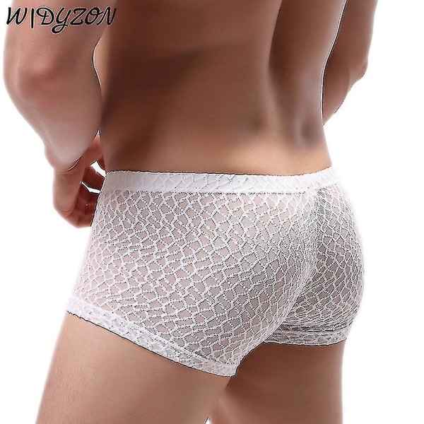 Mens Boxer Sexy Underwear Men Lace Breathable Boxershorts Underpants Man Solid Boxers Hombre Boxer S