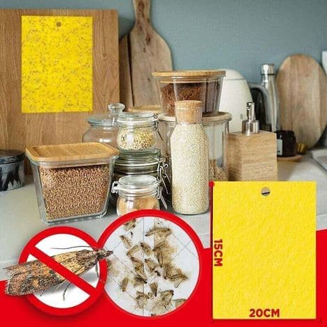 10 Matmottfällor - Anti-mott för mat - Kraftfull klibbig fälla för kök och skåp - Effektiv giftfri feromonfälla