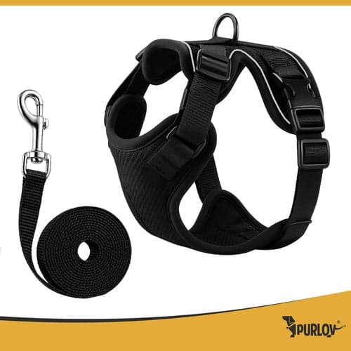 Trykfri sele hund/kat M med refleks, justerbar + snor 150 cm