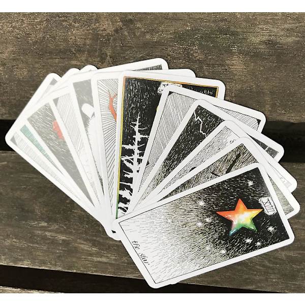 Wild Unknown Oracle Tarotkort