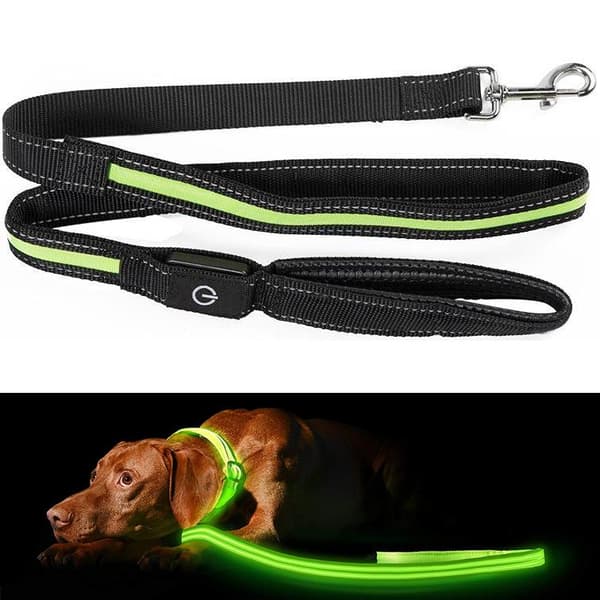 Dog Leash with LED / Leash for Dog - 175 cm