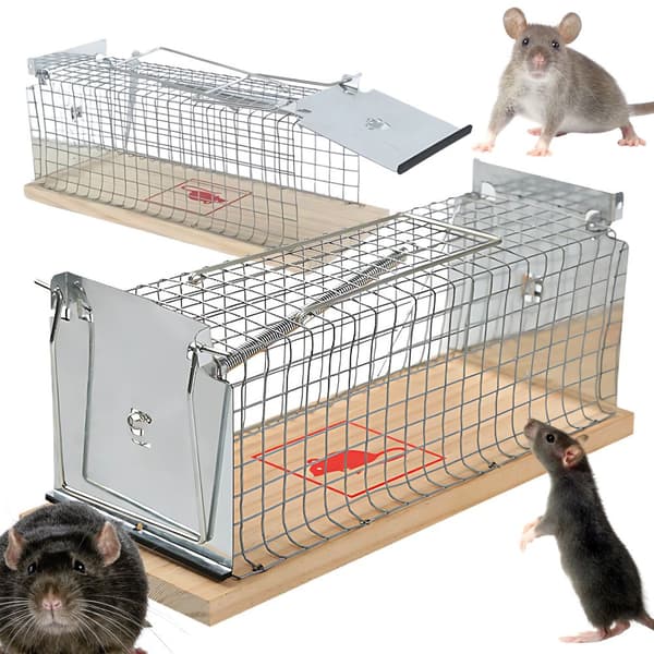 Rat Trap XL - Large Metal Cage with Spring Door