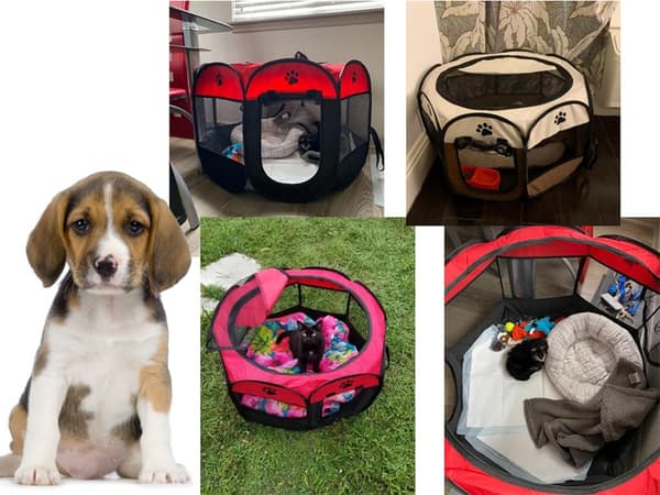 Playpen / Playpen for Dog & Cat - 80 cm