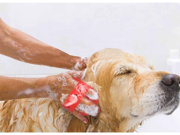 Børste til kæmning af hundehår, kat blød massagekam