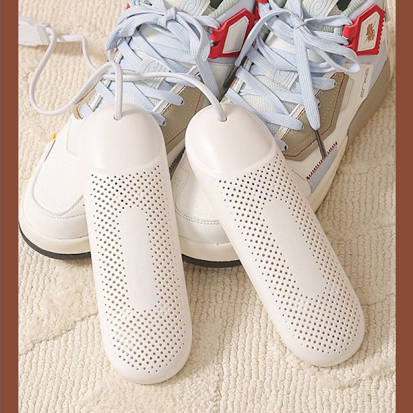 Electric Shoe Dryer with Timer
