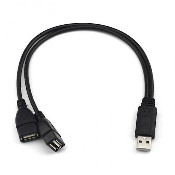 USB 2.0 A Han til 2 Dobbelt USB Hun Data Hub Strømadapter Y Splitter Kabel