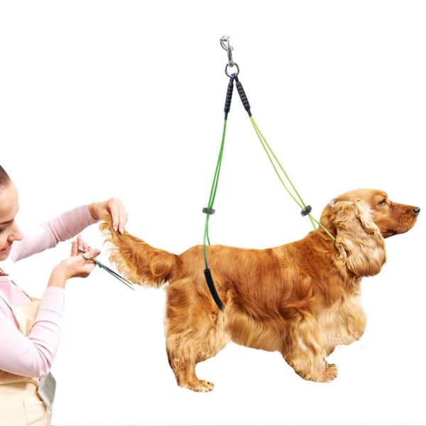 Adjustable Grooming Table Leash - Yellow/Green