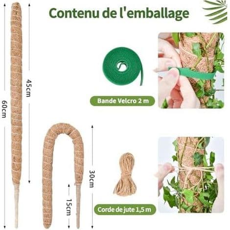 Monstera växtstöd, 60 cm x 2 mossstångssats för klätterväxter, inomhus kokosfiber -