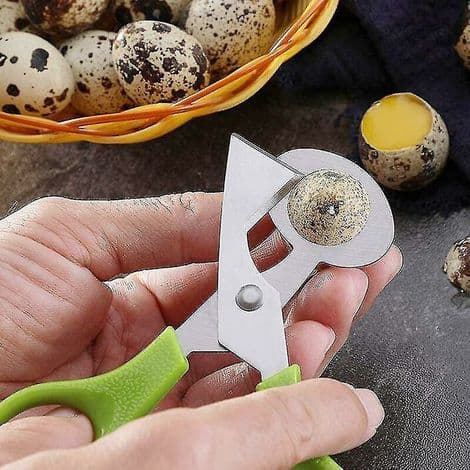 Vaktel-eggesaks i rustfritt stål, sett med 2 dueeggåpnere, grønn + gul