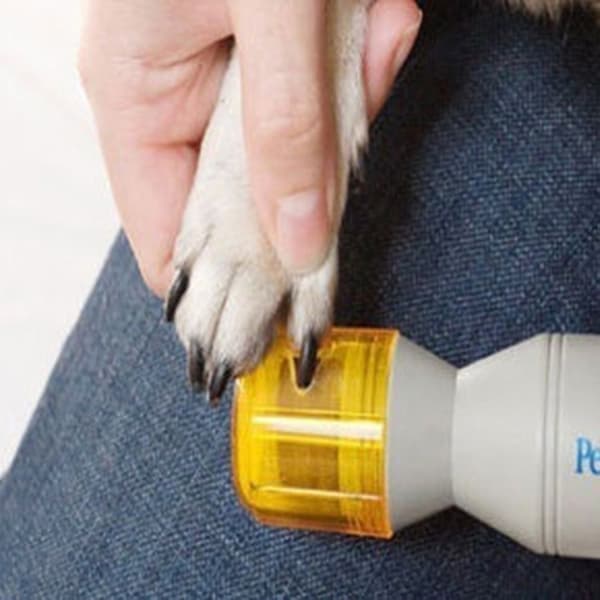 Elektrisk neglefil / kloklipper til hund - Klipper klør