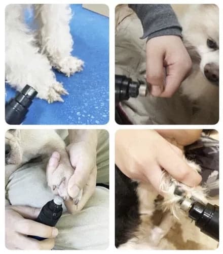 Electric Pet Nail Grinder USB Charging 2 Guards + Scissors Dog Cat