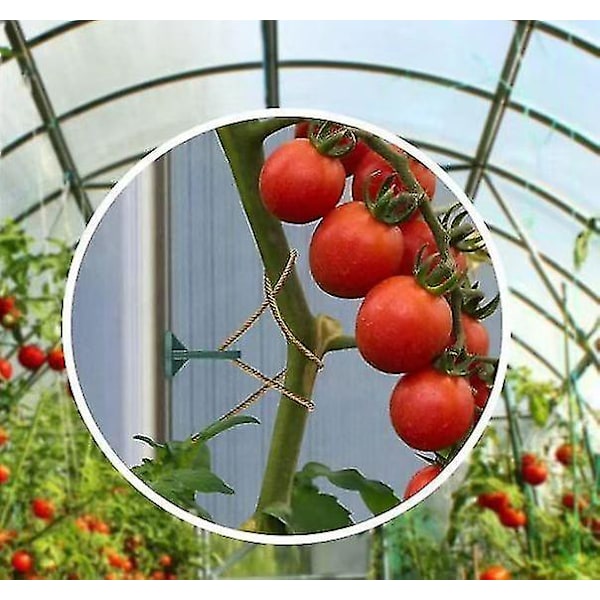 Paket med 50x växthusklämmor - Växthusklämmor - Lätt installation Liten växthus Svart plastklämma Fast spänne för korg Blomkruka 50st