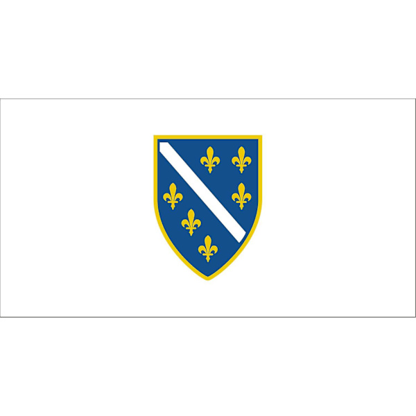 Bosnian lippu (1992-1998)