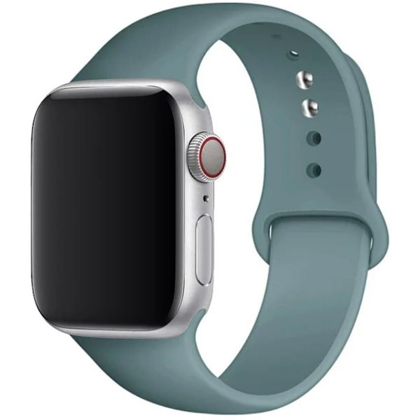 Silikoniranneke Apple Watchille 45mm 44mm 42mm 49mm 41mm 40mm 38mm iWatch-sarja 8 7 9 SE 4 3 5 Ultra 6 Kaktus Kaktus