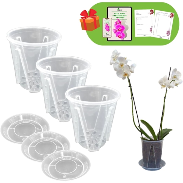 Set med 3 orkidékrukor i transparent, styv plast, diameter 16 cm, vaser med dräneringshål och fat, Access