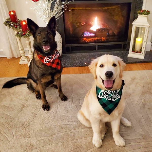 Koiran Bandana, Klassinen Jouluinen Lemmikin Huivi Säädettävä Pesu Buffalo Plaid Kolmioliina