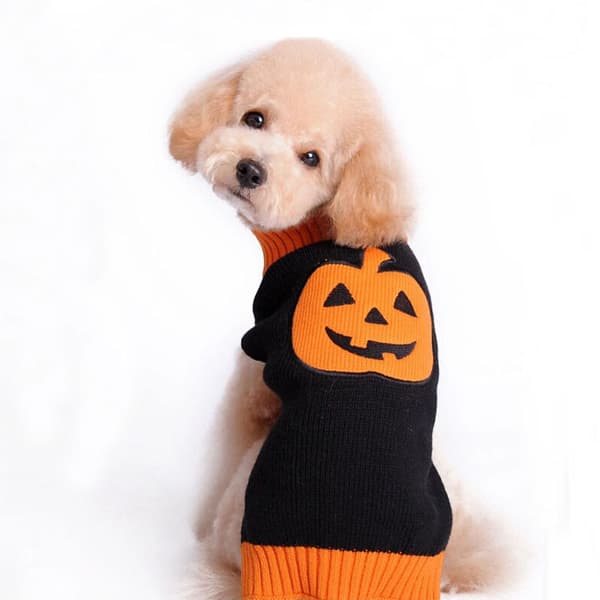 Pumpa Hundtröja Halloween Husdjurströjor (1-pack) M