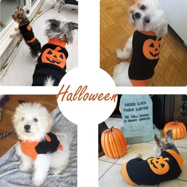 Græskar hundesweater Halloween kæledyrssweaters (1 pakke) M