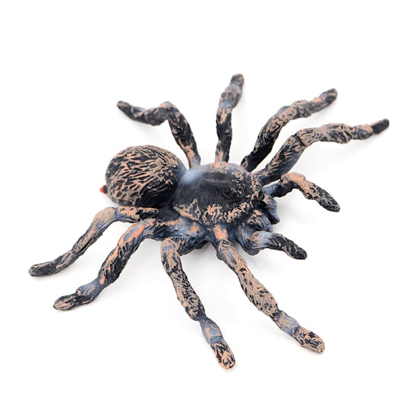 Halloween Spider Pattern