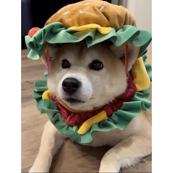 Morsom hamburgerhatt for katt og hund Halloween-kostyme dekorative pommes frites kjæledyrhette myk valp gjenopprettingskjegle