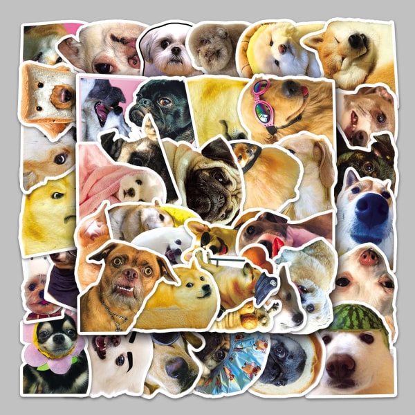 Suloinen Internet Celebrity Dog Expression Pack, 50 luovaa ja hauskaa
