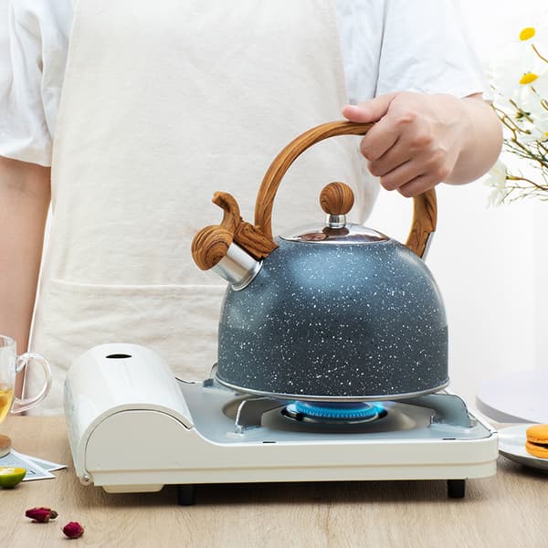 2,5L rustfrit stål tekande med advarselsfløjte, retro stil