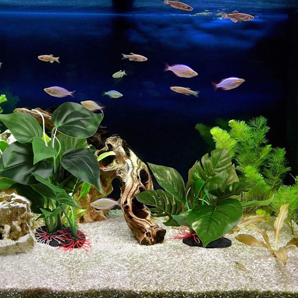 Akvarie Dekoration Ornamenter (Vandopløseligt blad-medium+lille 2 stk) Akvarie Tilbehør Fisketank